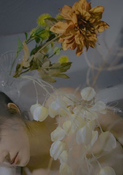 国产婴儿推车品牌排行榜_BD韩语在线观看